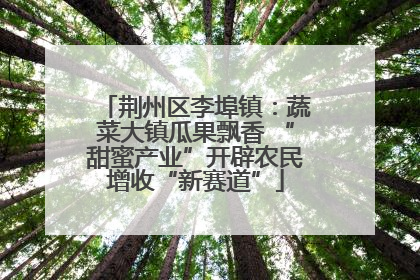 荆州区李埠镇：蔬菜大镇瓜果飘香 “甜蜜产业”开辟农民增收“新赛道”