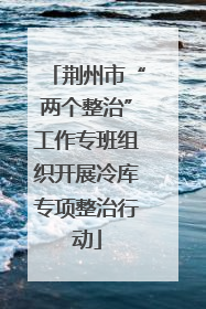 荆州市“两个整治”工作专班组织开展冷库专项整治行动