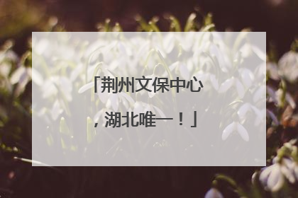 荆州文保中心，湖北唯一！