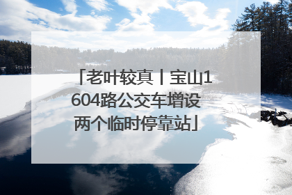 老叶较真丨宝山1604路公交车增设两个临时停靠站