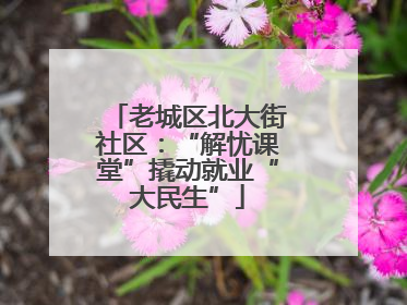 老城区北大街社区：“解忧课堂”撬动就业“大民生”