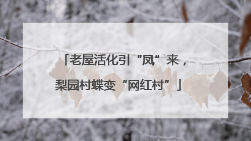 老屋活化引“凤”来，梨园村蝶变“网红村”