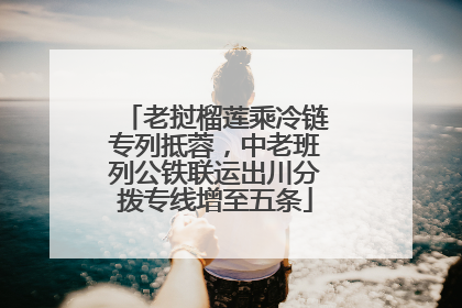 老挝榴莲乘冷链专列抵蓉，中老班列公铁联运出川分拨专线增至五条