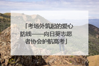 考场外筑起的爱心防线——向日葵志愿者协会护航高考