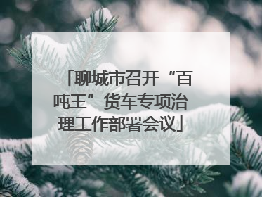 聊城市召开“百吨王”货车专项治理工作部署会议