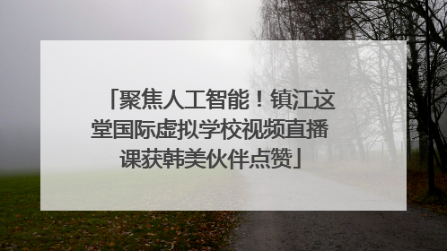 聚焦人工智能！镇江这堂国际虚拟学校视频直播课获韩美伙伴点赞
