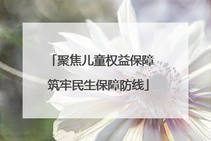 聚焦儿童权益保障 筑牢民生保障防线