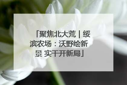 聚焦北大荒｜绥滨农场：沃野绘新景 实干开新局