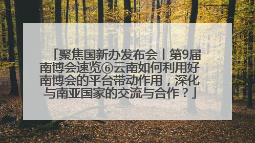 聚焦国新办发布会丨第9届南博会速览⑥云南如何利用好南博会的平台带动作用，深化与南亚国家的交流与合作？