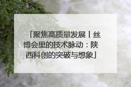 聚焦高质量发展丨丝博会里的技术脉动：陕西科创的突破与想象