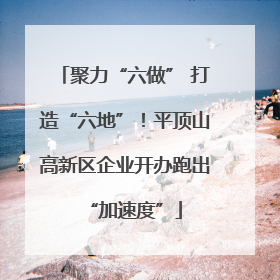 聚力“六做” 打造“六地”！平顶山高新区企业开办跑出“加速度”