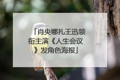 肖央娜扎王迅领衔主演《人生会议》发角色海报