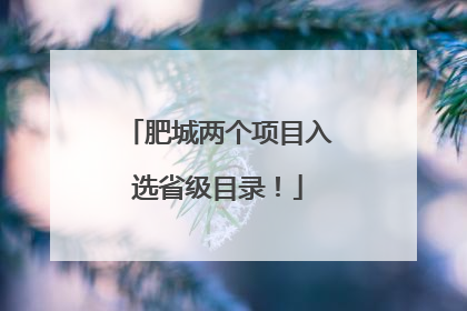 肥城两个项目入选省级目录！