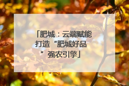 肥城：云端赋能 打造“肥城好品”强农引擎