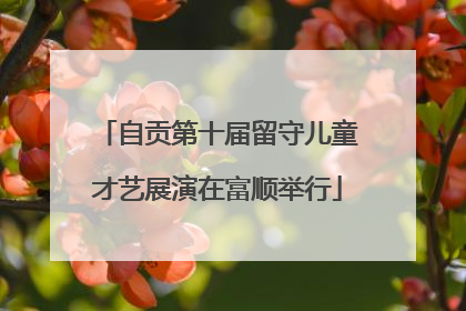 自贡第十届留守儿童才艺展演在富顺举行