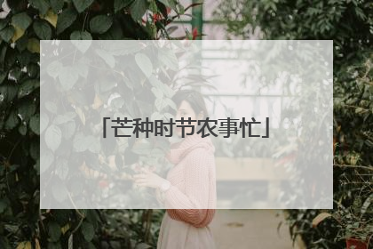 芒种时节农事忙