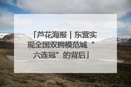 芦花海报｜东营实现全国双拥模范城“六连冠”的背后