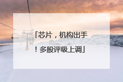 芯片，机构出手！多股评级上调
