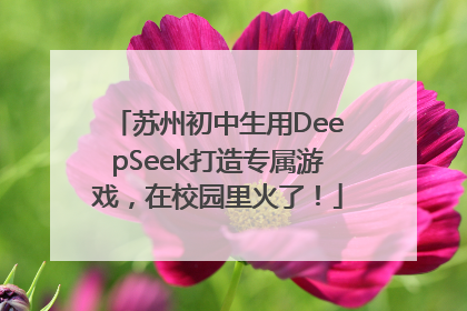 苏州初中生用DeepSeek打造专属游戏，在校园里火了！