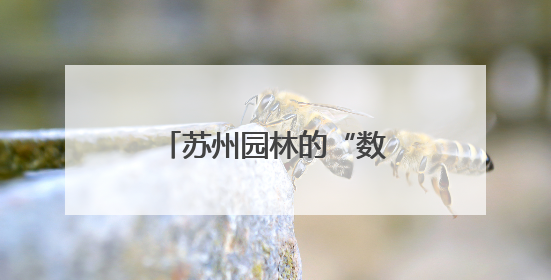 苏州园林的“数字化生活”（解码·文化数字化）