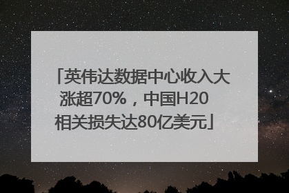 英伟达数据中心收入大涨超70%，中国H20相关损失达80亿美元