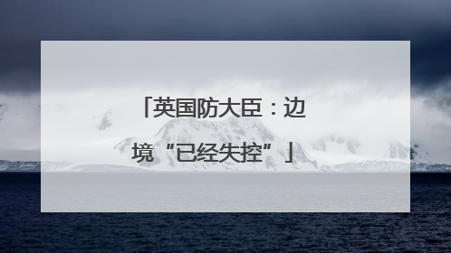 英国防大臣：边境“已经失控”