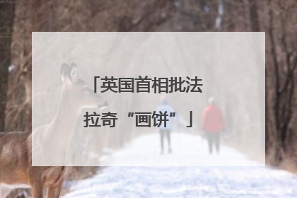 英国首相批法拉奇“画饼”