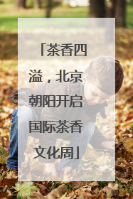 茶香四溢，北京朝阳开启国际茶香文化周