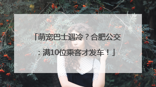 萌宠巴士遇冷？合肥公交：满10位乘客才发车！