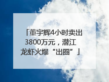 董宇辉4小时卖出3800万元，潜江龙虾火爆“出圈”