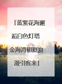 蓝紫花海邂逅白色灯塔 金海湾初夏浪漫引客来