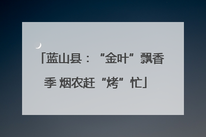 蓝山县：“金叶”飘香季 烟农赶“烤”忙