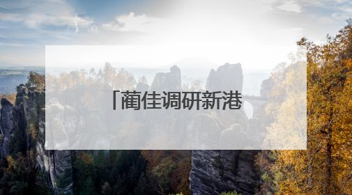 蔺佳调研新港区内重点企业