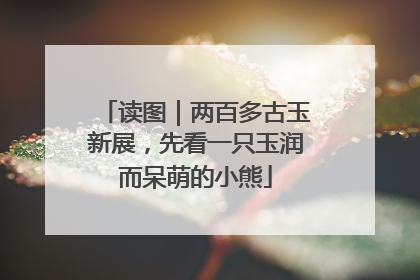 读图｜两百多古玉新展，先看一只玉润而呆萌的小熊