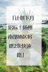 计划下月招标！扬州南部地区将建2条快速路