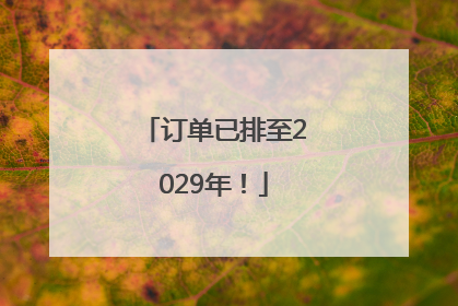 订单已排至2029年！