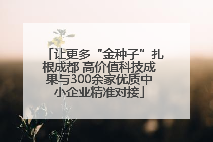 让更多“金种子”扎根成都 高价值科技成果与300余家优质中小企业精准对接