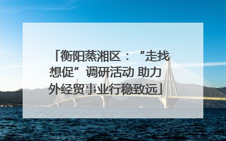 衡阳蒸湘区：“走找想促”调研活动 助力外经贸事业行稳致远
