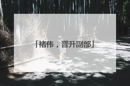 褚伟，晋升副部