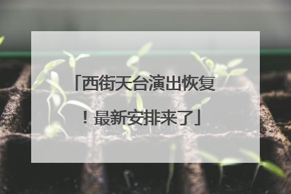 西街天台演出恢复！最新安排来了