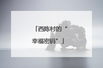 西陈村的“幸福密码”
