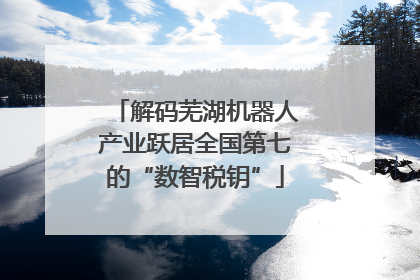 解码芜湖机器人产业跃居全国第七的“数智税钥”
