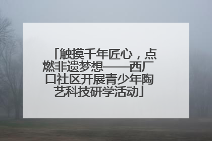 触摸千年匠心，点燃非遗梦想——西厂口社区开展青少年陶艺科技研学活动