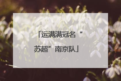 运满满冠名“苏超”南京队