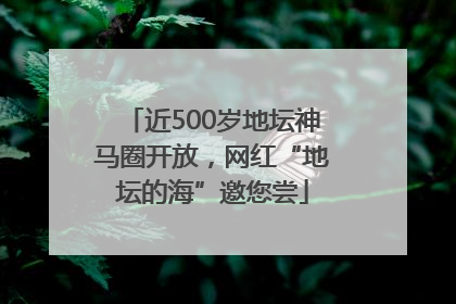 近500岁地坛神马圈开放，网红“地坛的海”邀您尝