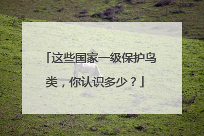 这些国家一级保护鸟类，你认识多少？