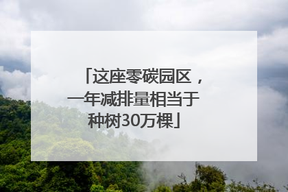 这座零碳园区，一年减排量相当于种树30万棵