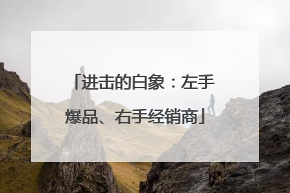 进击的白象：左手爆品、右手经销商