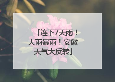 连下7天雨！大雨暴雨！安徽天气大反转