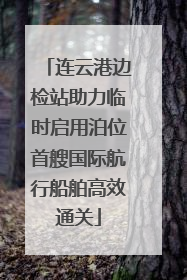 连云港边检站助力临时启用泊位首艘国际航行船舶高效通关